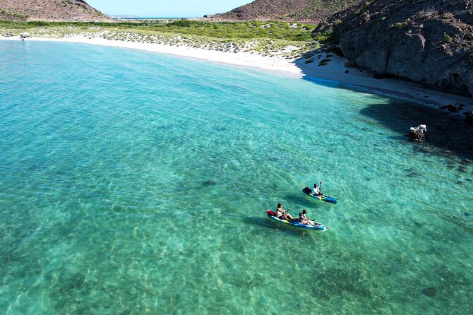 Balandra & Tecolote: hike, kayak and snorkel in paradise - Snorkeling over Balandra’s rocky reef