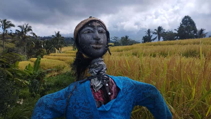 Bali: Jatiluwih Full-Day E-Bike and Trekking Tour - Why Jatiluwih works so well by bike
