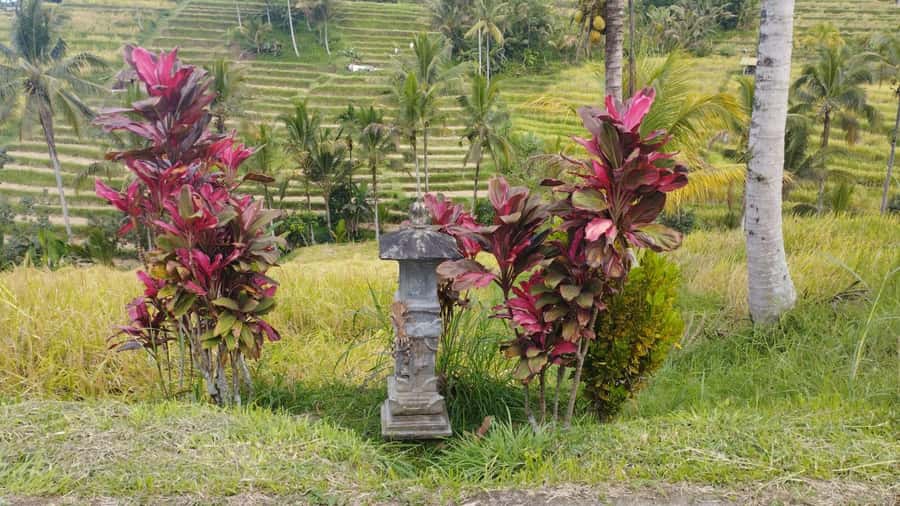 Bali: Jatiluwih Full-Day E-Bike and Trekking Tour - The ride from Batukaru into Bali’s interior