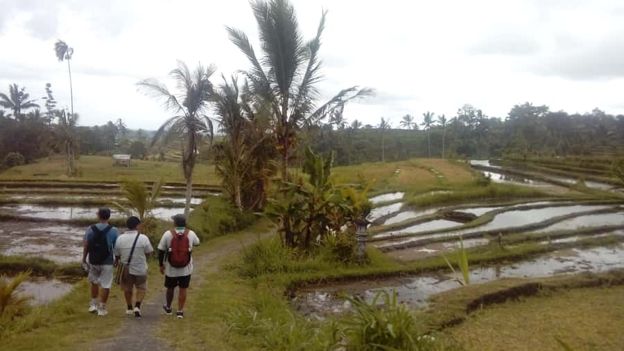 Bali: Jatiluwih Full-Day E-Bike and Trekking Tour - The trek through fields, paths, and a river