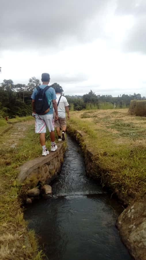 Bali: Jatiluwih Full-Day E-Bike and Trekking Tour - Who should choose this Jatiluwih tour?