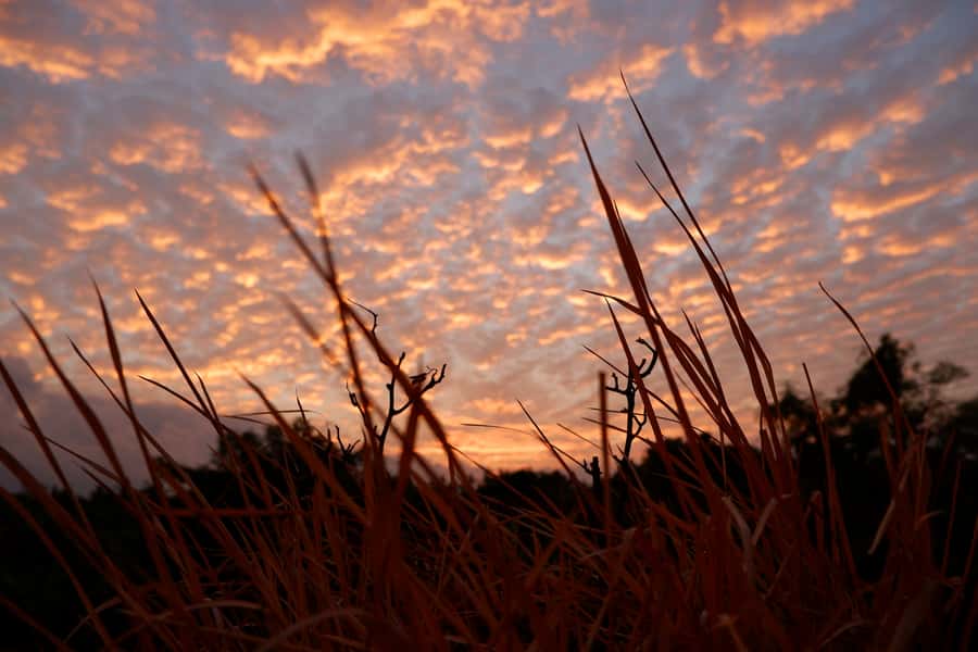 Bali: Mount Batur Entry Ticket on a Guided Hike or Jeep Ride - Sunrise, daylight, or sunset on Mount Batur