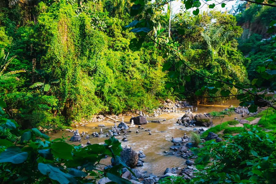 Bali: Mount Batur Sunrise Trek and White Water Rafting - Who should book this experience?