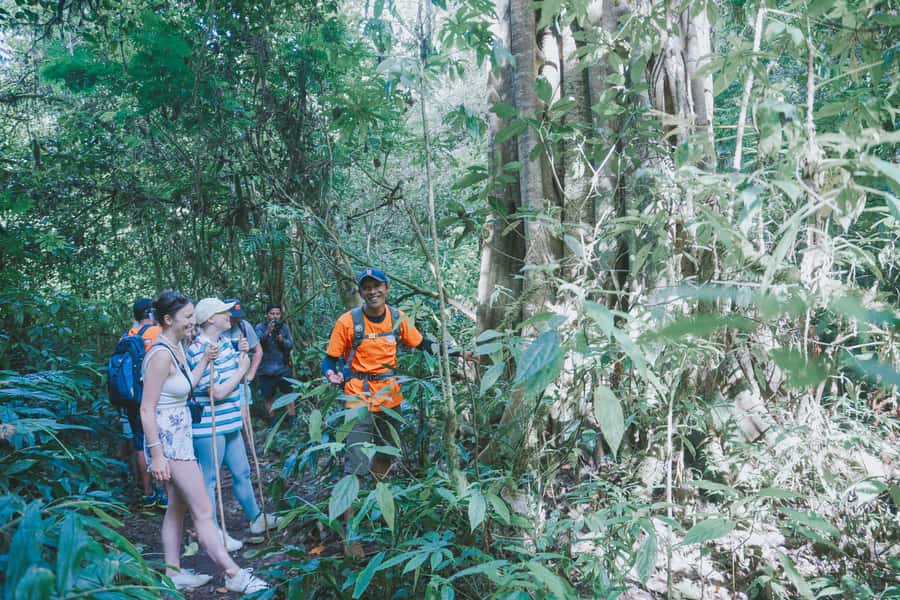 Bali: Munduk Waterfalls Trek, Twin Lakes and Temple Tour - Tea, coffee, and a pause before the waterfall