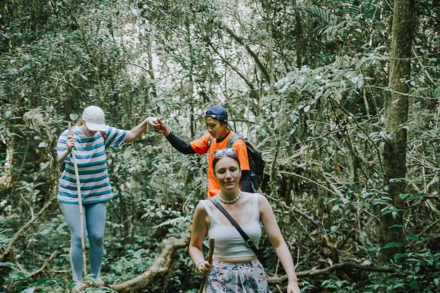 Bali: Munduk Waterfalls Trek, Twin Lakes and Temple Tour - Starting at the Twin Lakes viewpoint