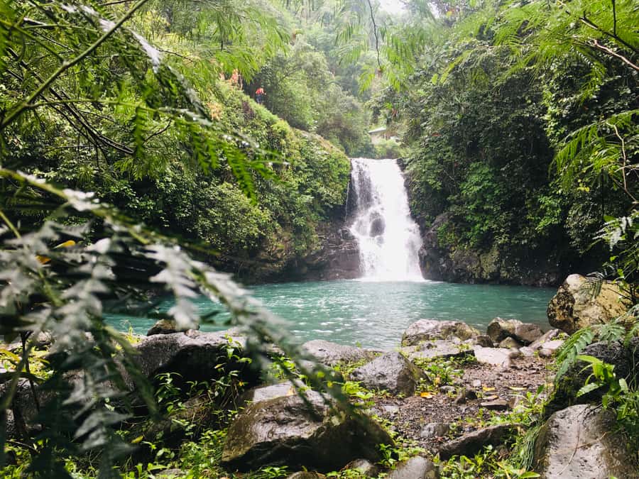 Bali: Sambangan Waterfalls Trekking, Sliding, & Jumping Trip - Twin Waterfalls and Pucuk: How High Do You Want to Go?