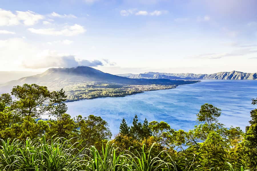 Bali: Sunrise Mount Batur Guided Hike with Breakfast - Sunrise, summit views, and breakfast