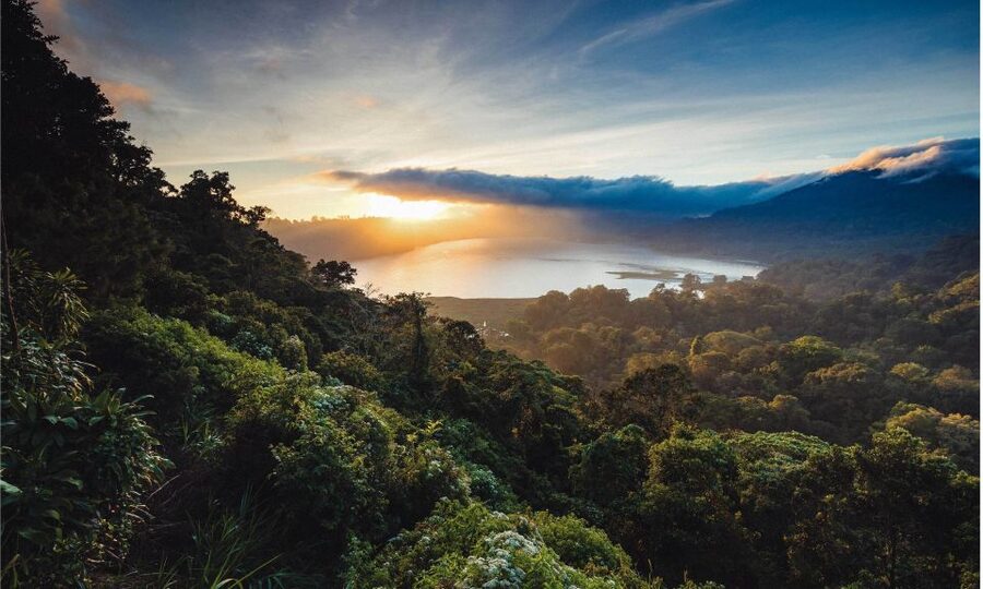 Bali: Twin Lakes, Handara Gates, and Forest Trekking Tour - Timing, guides, and what can affect the day