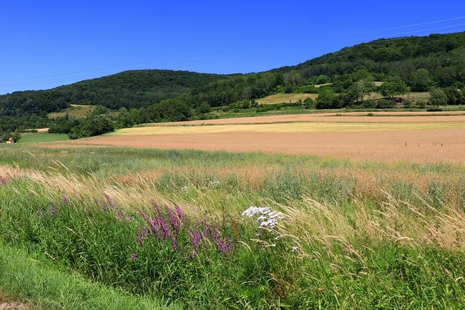 Bamberg Countryside Breweries Beer Hike Food Experience - Memmelsdorf and its two village breweries