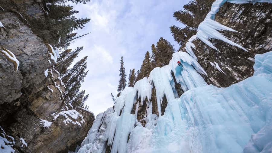 Banff: Gondola Ticket and Johnston Canyon Hiking Tour - The ride up Sulphur Mountain
