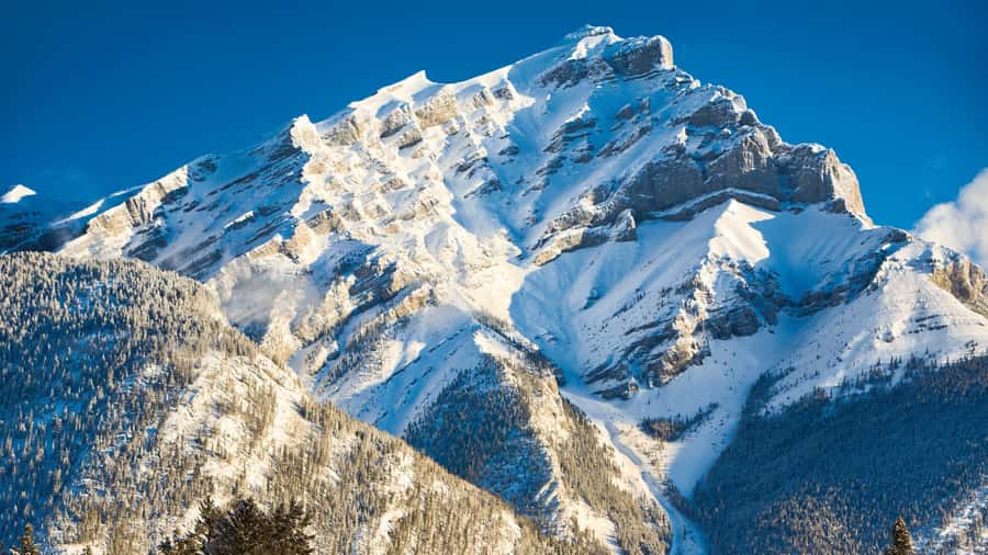 Banff: Gondola Ticket and Johnston Canyon Hiking Tour - What the day feels like in practice