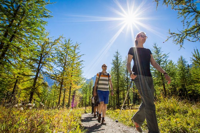 Banff National Park Guided Hike with Lunch - Who should book this guided hike?