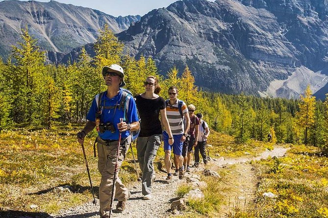 Banff National Park Guided Hike with Lunch - What the guide adds to the day