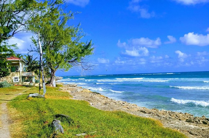 Barbados Hiking and Sightseeing Tour (Transport Included) - Bayfield’s coral cliffs and Atlantic views
