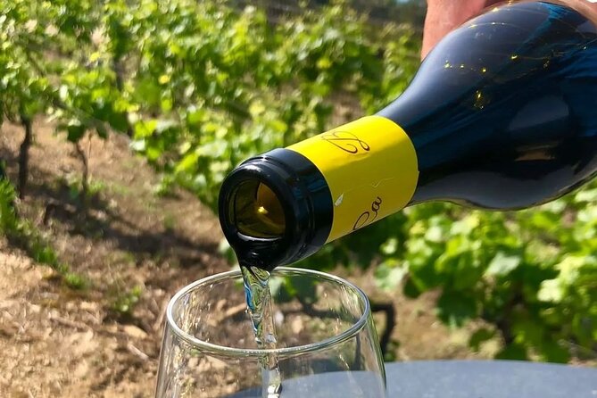BarCa Winery Cinqueterre Trekking & Wine Tasting & Pesto Class - Why this experience feels different from a standard wine tasting