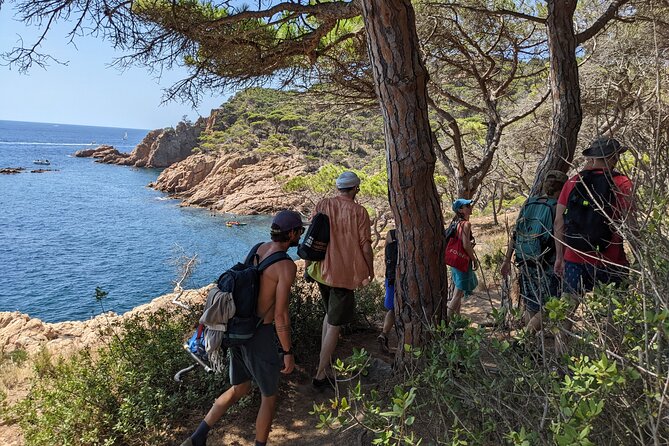 Barcelona: Costa Brava Easy Hike, Snorkel, Cliff-Jump & Meal - The Camí de Ronda above the coves