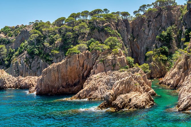 Barcelona: Costa Brava Easy Hike, Snorkel, Cliff-Jump & Meal - What $102.84 includes, and where the value lies