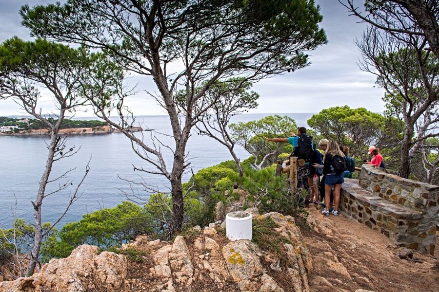 Barcelona: Costa Brava Hiking, Sea Kayaking & Lagoon Dipping - Walking the Camino de Ronda near Sant Feliu de Guíxols