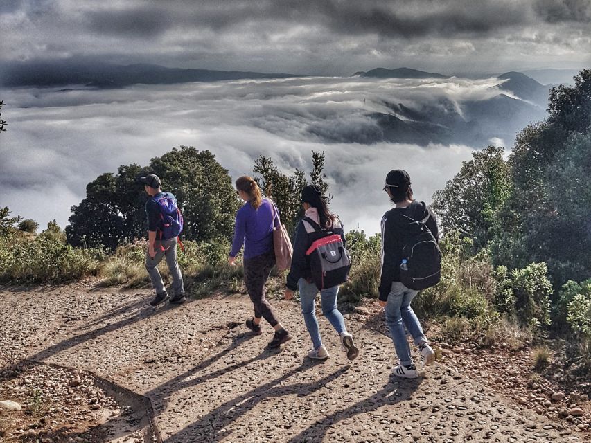 Barcelona: Montserrat Hiking Experience and Monastery Visit - Cheese, honey, and a taste of Catalonia