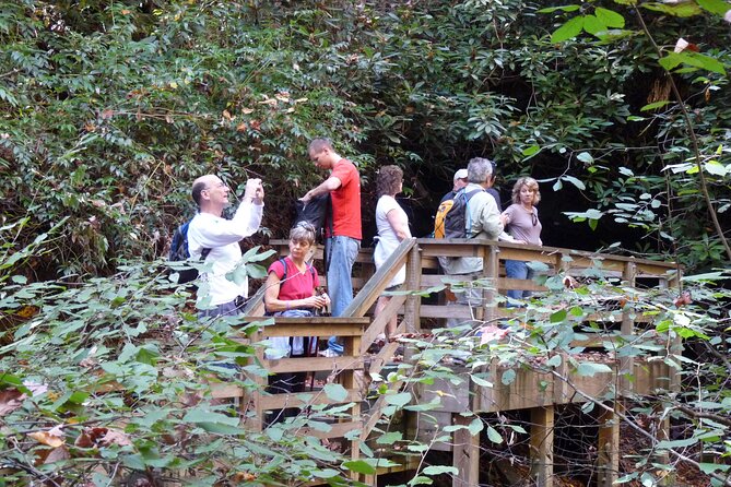 Bartram Trail Hike plus Wine Tasting - What the Yonah Mountain Climb Demands