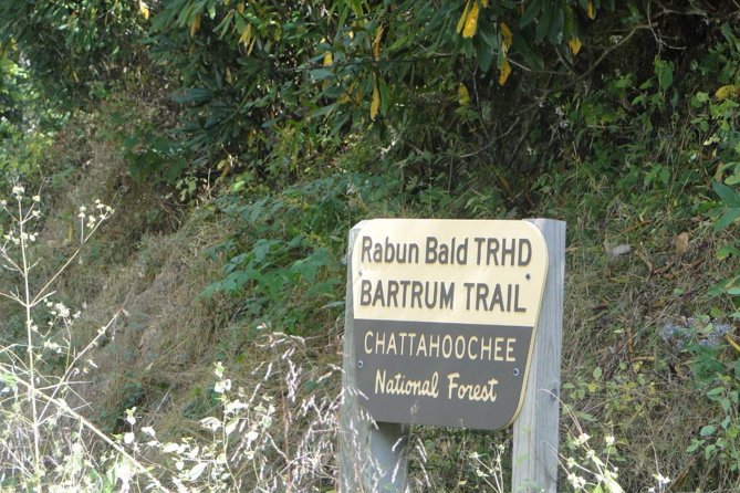 Bartram Trail Hike plus Wine Tasting - A Picnic Built for the Trail