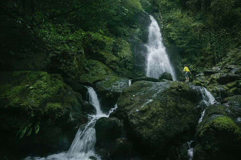 Batumi to Mtirala National park - Half day hiking group tour - Key points to know before you go