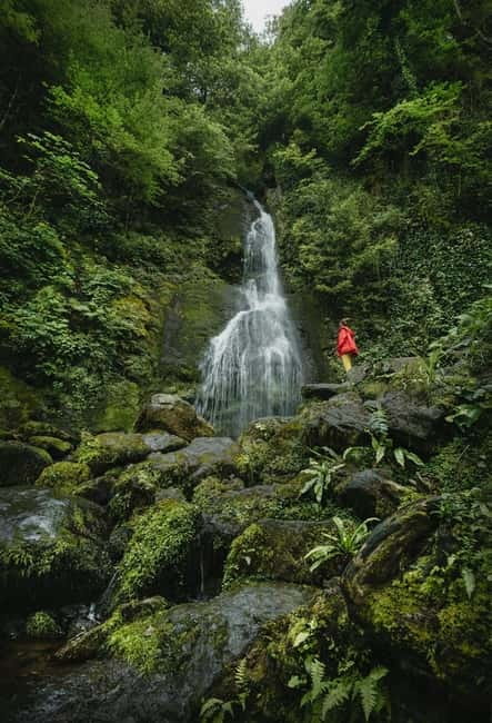 Batumi to Mtirala National park - Half day hiking group tour - Leaving Batumi at 2 pm