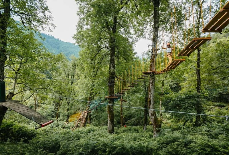 Batumi to Mtirala National park - Half day hiking group tour - Guides who shape the experience
