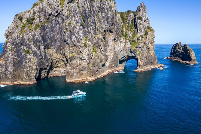 Bay of Islands Cruise & Island Tour - Snorkel, Hike,Swim,Wildlife - Key things to know before booking