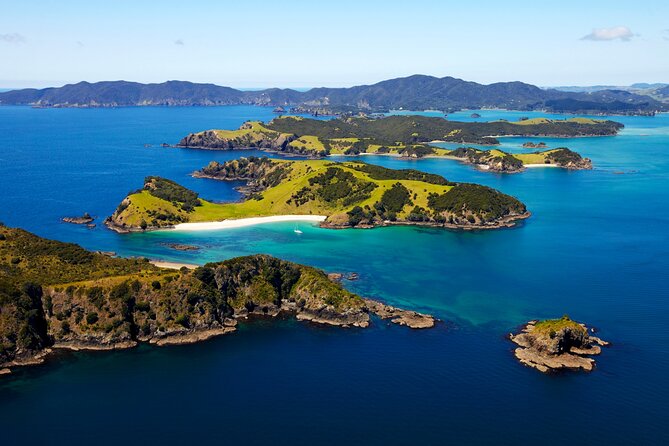 Bay of Islands Cruise & Island Tour - Snorkel, Hike,Swim,Wildlife - A fast, well-rounded introduction to the Bay of Islands