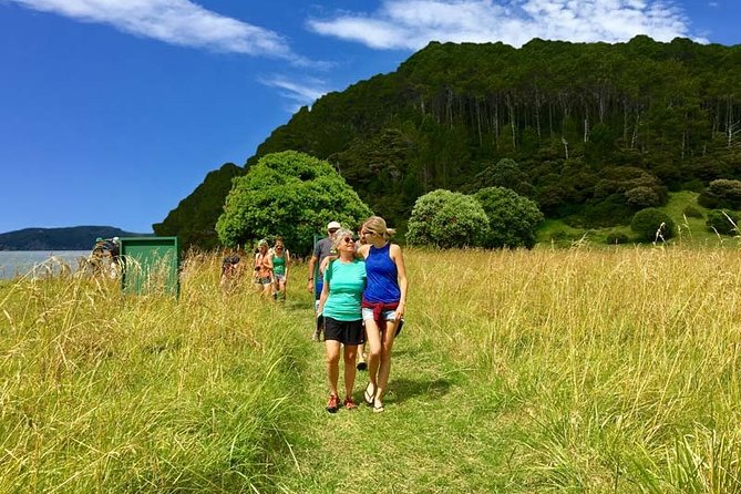 Bay of Islands Cruise & Island Tour - Snorkel, Hike,Swim,Wildlife - Cape Brett and the Hole in the Rock