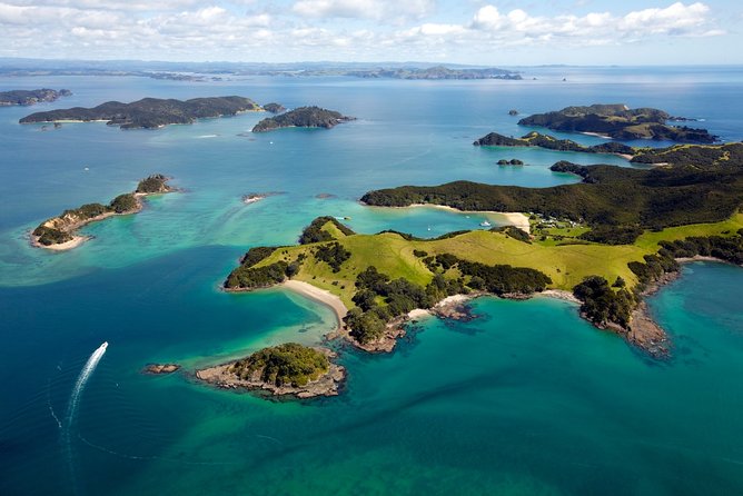 Bay of Islands Cruise & Island Tour - Snorkel, Hike,Swim,Wildlife - How rough is the boat ride?