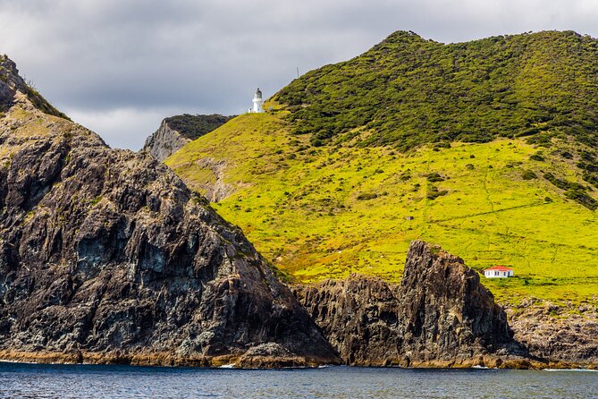 Bay of Islands Cruise & Island Tour - Snorkel, Hike,Swim,Wildlife - What the price includes, and where value changes