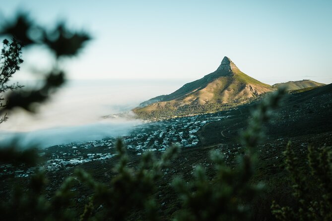 Beautiful Table Mountain Hike - Kasteelspoort - What the guide adds to the walk
