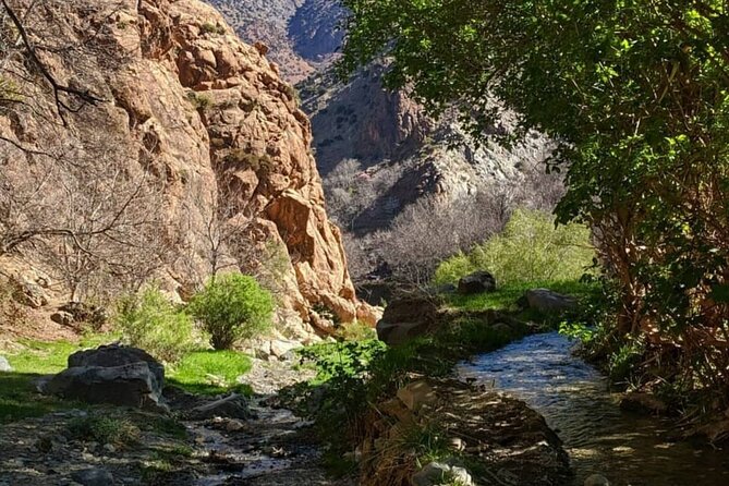 Berber villages : Atlas Mountains Day Hike from Marrakech - What the guides and vehicle add