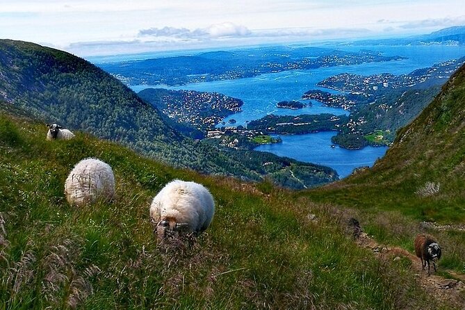 Bergen Classic Private hiking - Price, group size, and value