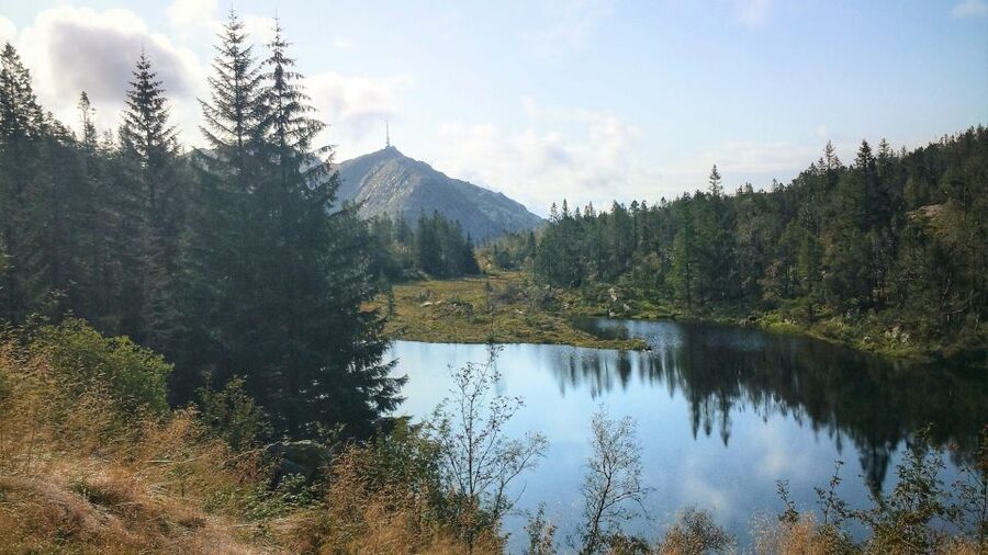 Bergen: Guided mountain hike on top of Bergen - Key points to know before you book