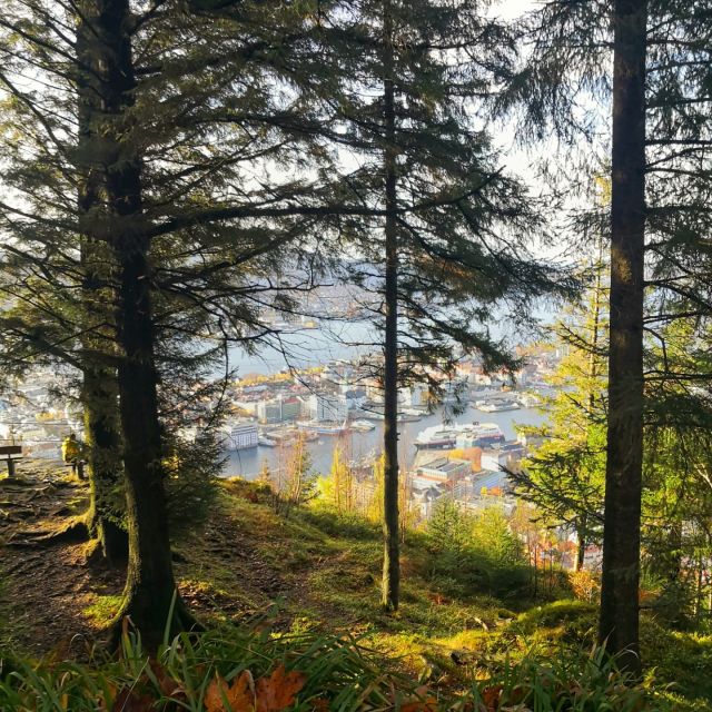 Bergen: Guided mountain hike on top of Bergen - Who should book, and who should skip it?