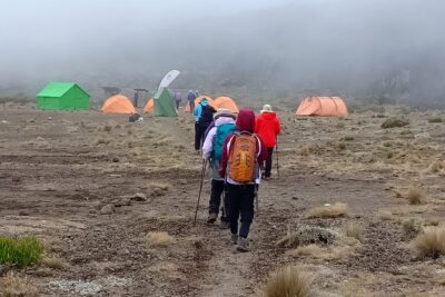 Best Kilimanjaro Adventure 7 days Machame route Trekking