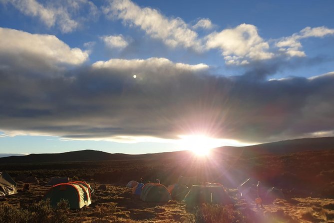 Best Kilimanjaro Adventure 7 days Machame route Trekking - Day 7: Walking out through the forest