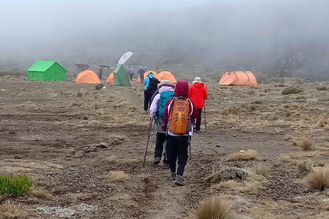 Best Kilimanjaro Adventure 7 days Machame route Trekking - Day 1: Machame Gate and the rainforest