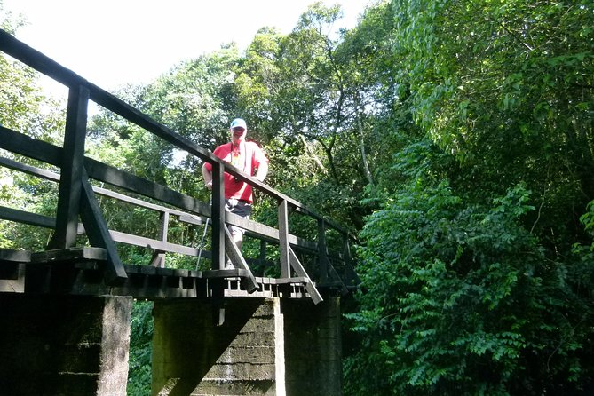 Best Kilimanjaro hiking day trip tour with Kilinge Adventures - A real taste of Kilimanjaro from Moshi