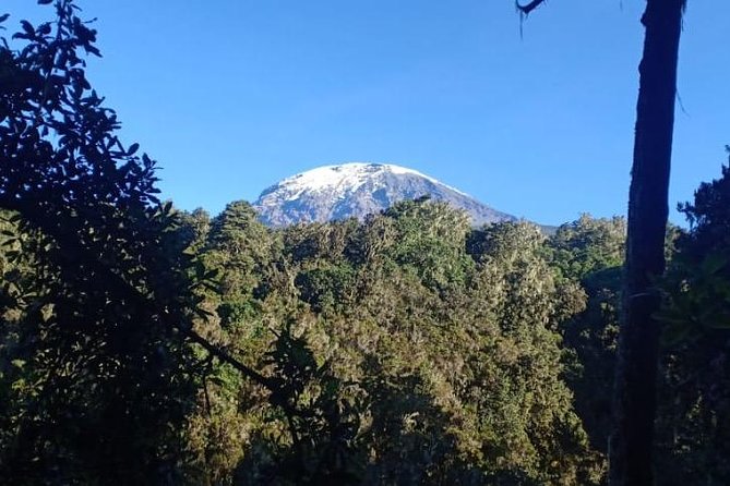 Best Kilimanjaro hiking day trip tour with Kilinge Adventures - Marangu Gate to Mandara Hut: what the climb is like