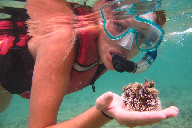 Best of Mangrove Lagoon Kayak, Hike and Snorkel Adventure with Picnic Lunch - Hiking Cas Cay to the volcanic blowhole