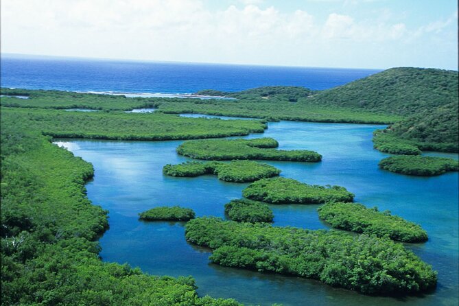 Best of Mangrove Lagoon Kayak, Hike and Snorkel Adventure with Picnic Lunch - Group size, timing, and practical preparation