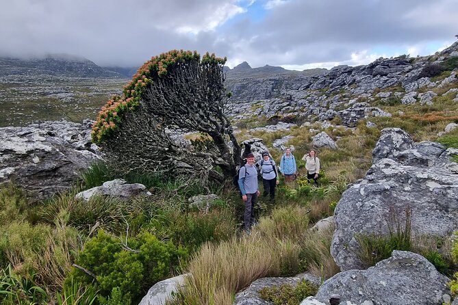 BEST of Table Mountain! Exhilarating Full-day Guided Hike - Key points to know before booking