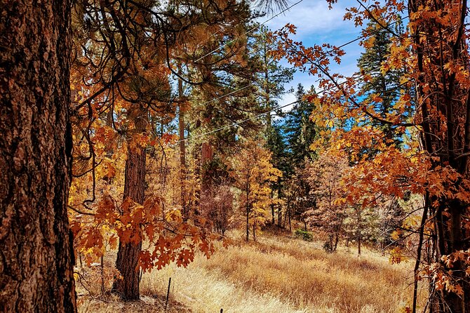 Big Bear Fall Colors Hiking Tour in Southern California - Key points at a glance