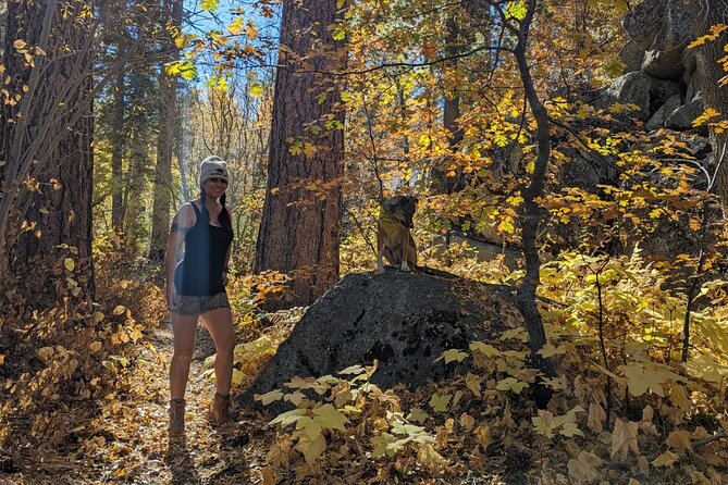 Big Bear Fall Colors Hiking Tour in Southern California - Why this fall hike is different from a standard Big Bear walk