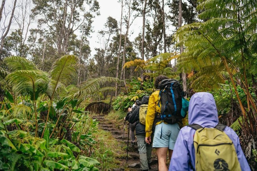 Big Island: Hawai'i Volcanoes National Park Guided Hike - A Full Day Around Kilauea’s Volcanic Heart