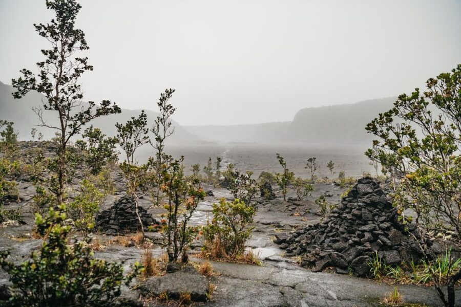 Big Island: Hawai'i Volcanoes National Park Guided Hike - Who Should Book This Hike?